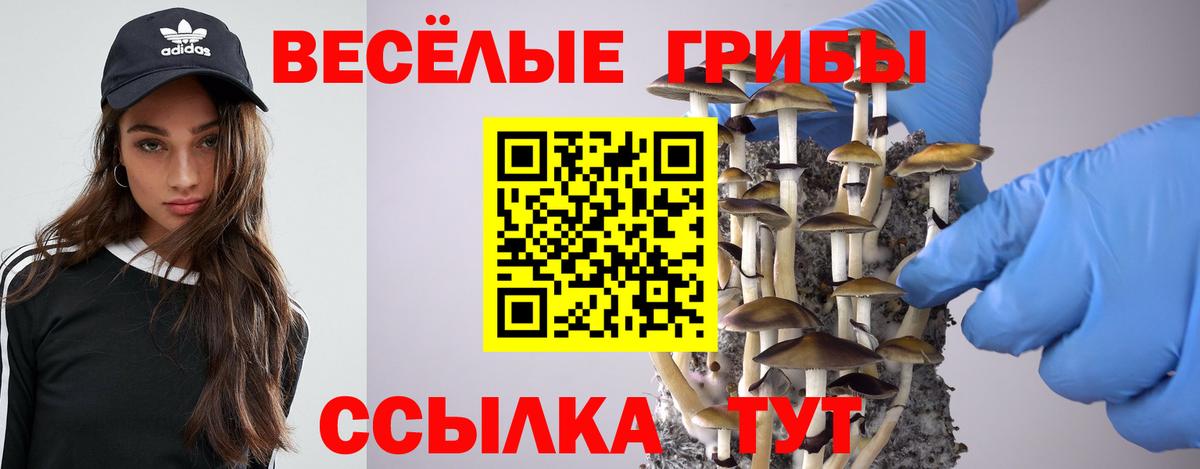 Псилоцибиновые грибы Psilocybine cubensis Уварово